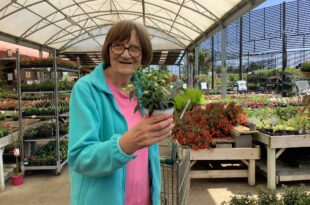 Garden centre visit for Meadows Park residents