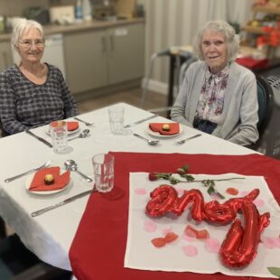 Valentine’s Celebration Brings Joy to Meadows Park Residents